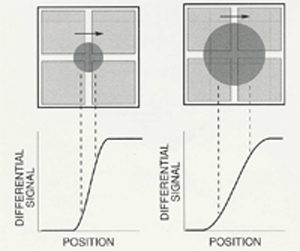 QuadRules