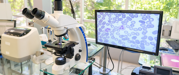 Fluorescence microscopy system